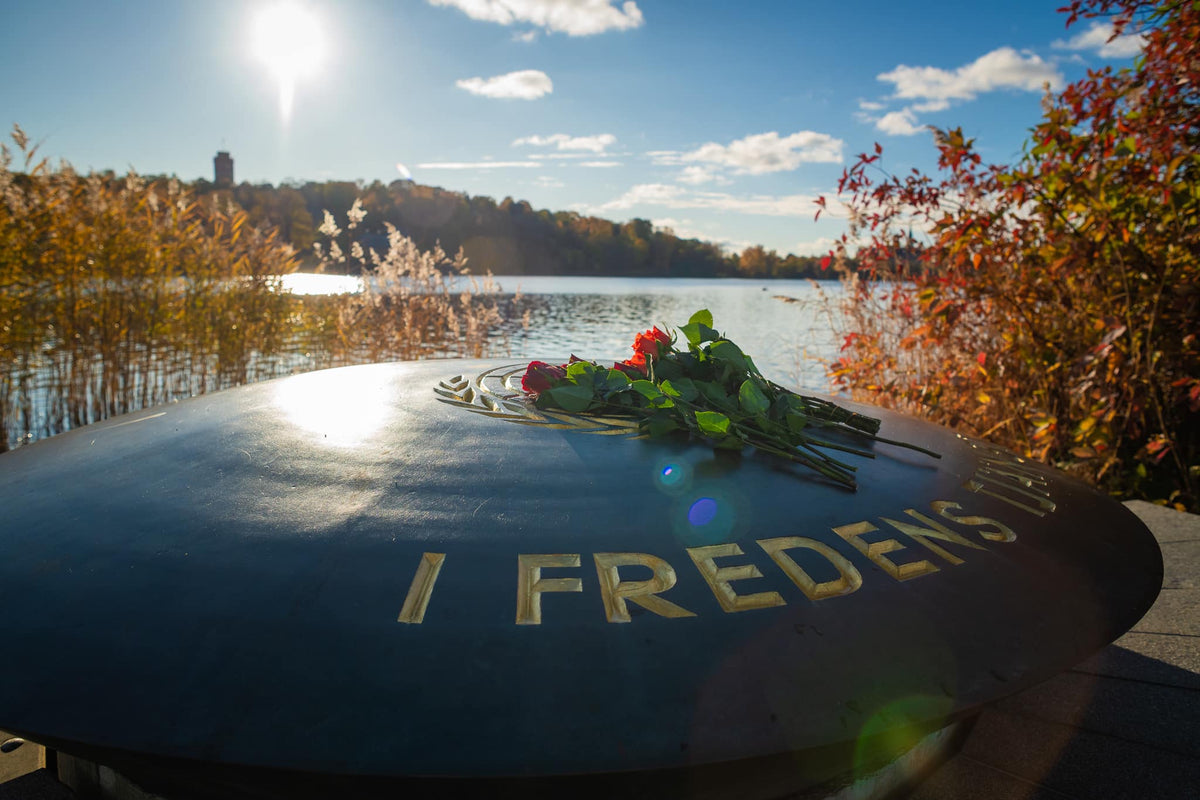 MALM Swedish veterans initiative